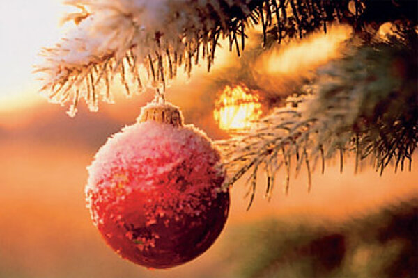 💫 Frohe Weihnachten 🎄